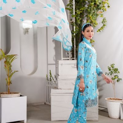 Blue Salwar Kameez with Flowing Dupatta
